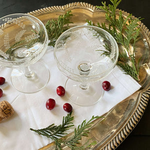 Vintage Champagne Glasses Coupe Style with Etched Berries and Evergreen Sprig Pattern - Set of Two