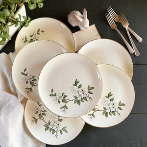 Vintage Midcentury Dogwood Luncheon Plates - Set of 6