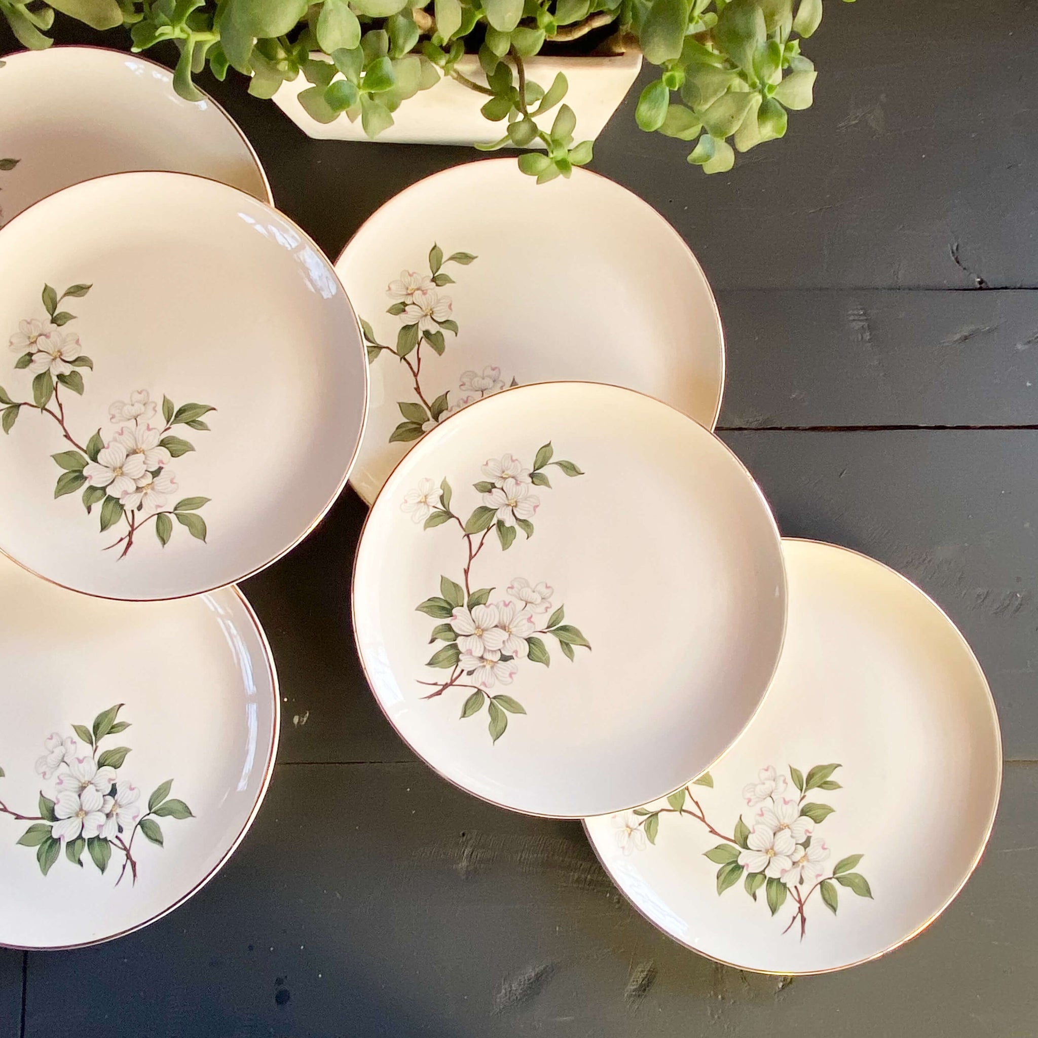 Vintage Midcentury Dogwood Luncheon Plates - Set of 6