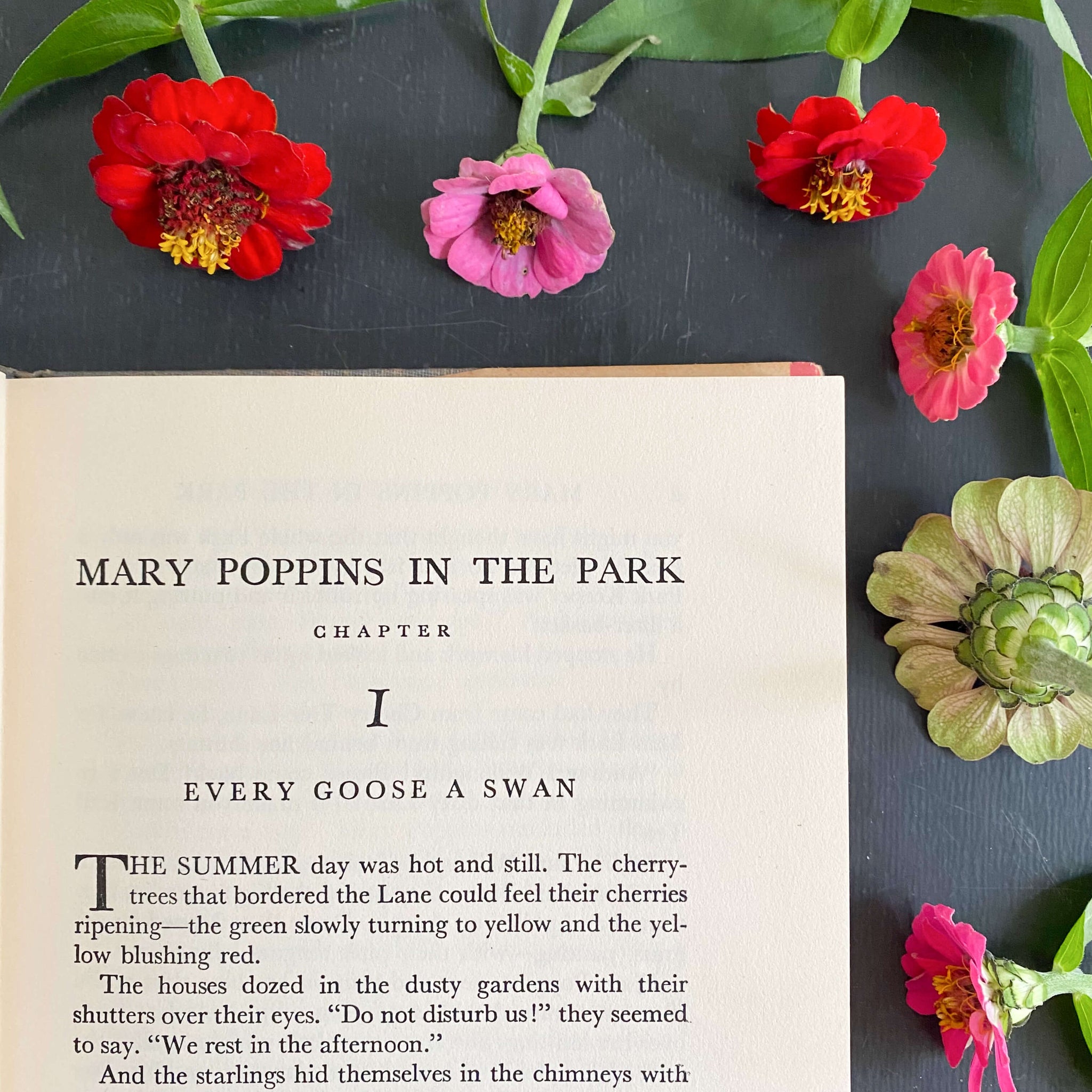 Mary Poppins in the Park by P.L. Travers - 1952 First American Edition