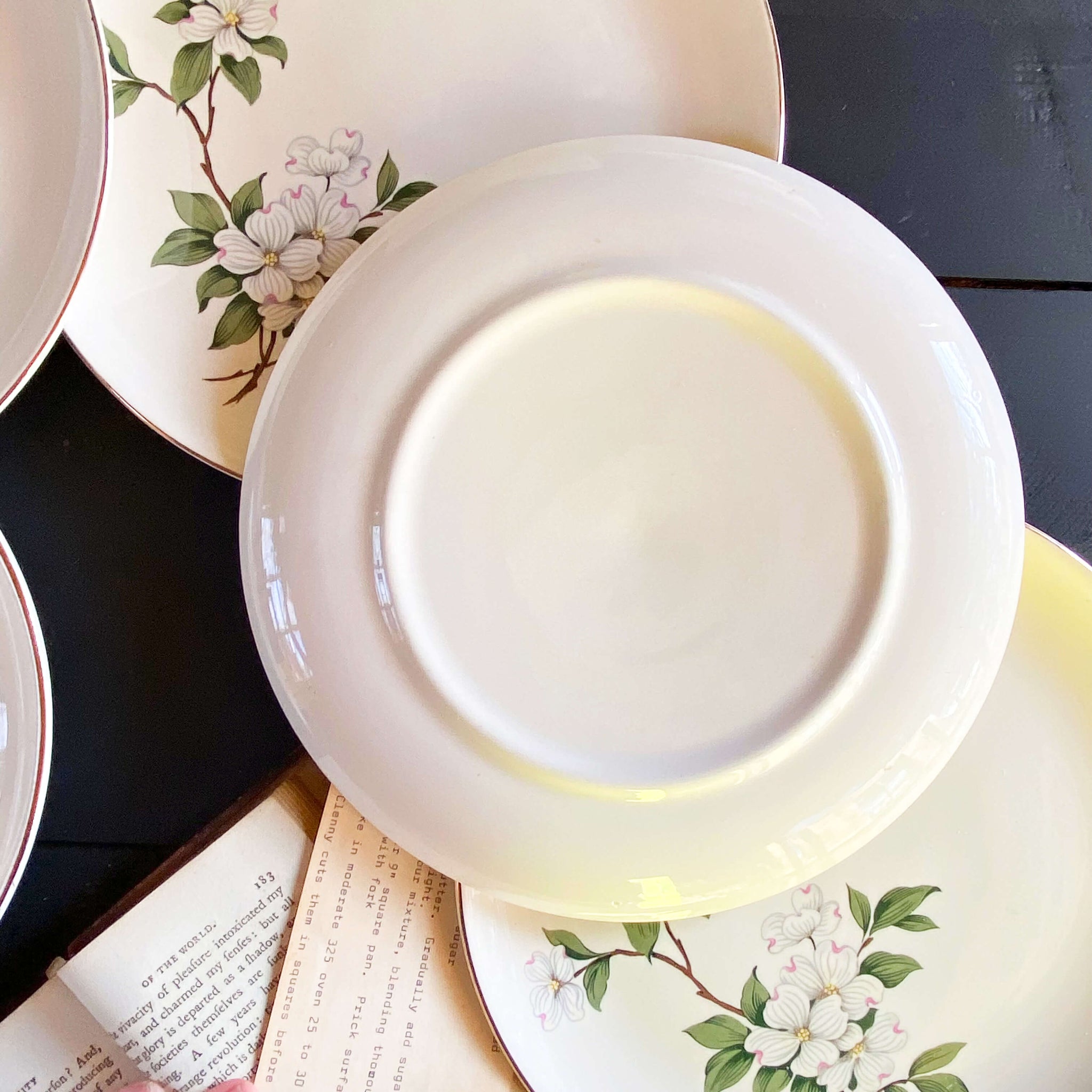 Vintage Midcentury Dogwood Luncheon Plates - Set of 6