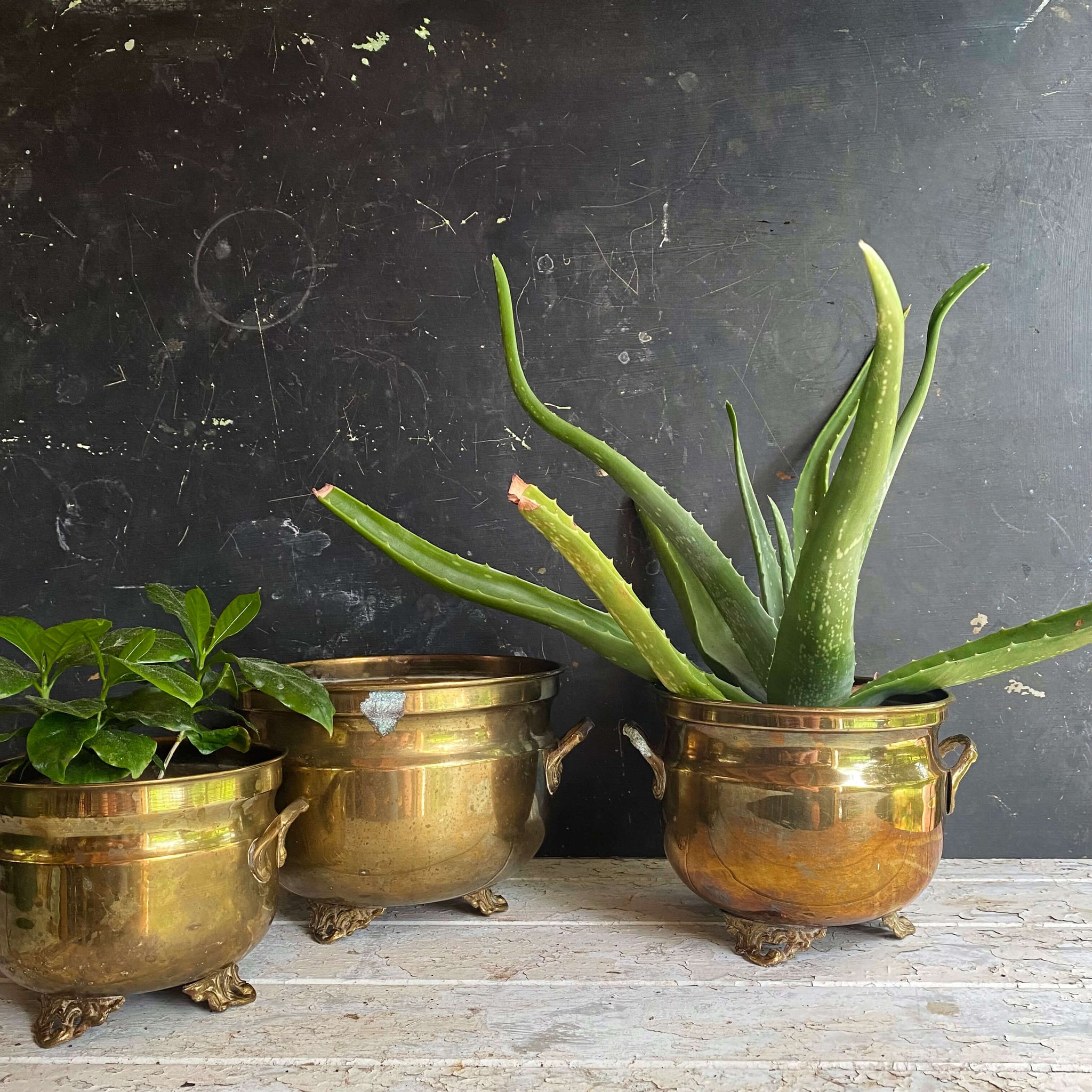 antique brass planter pots Vintage Footed Brass Plant Holders - Set of Three