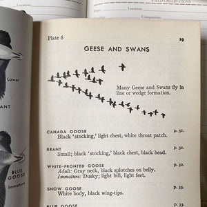 A Field Guide to the Birds by Roger Tory Peterson - 1947 Edition 33rd Printing