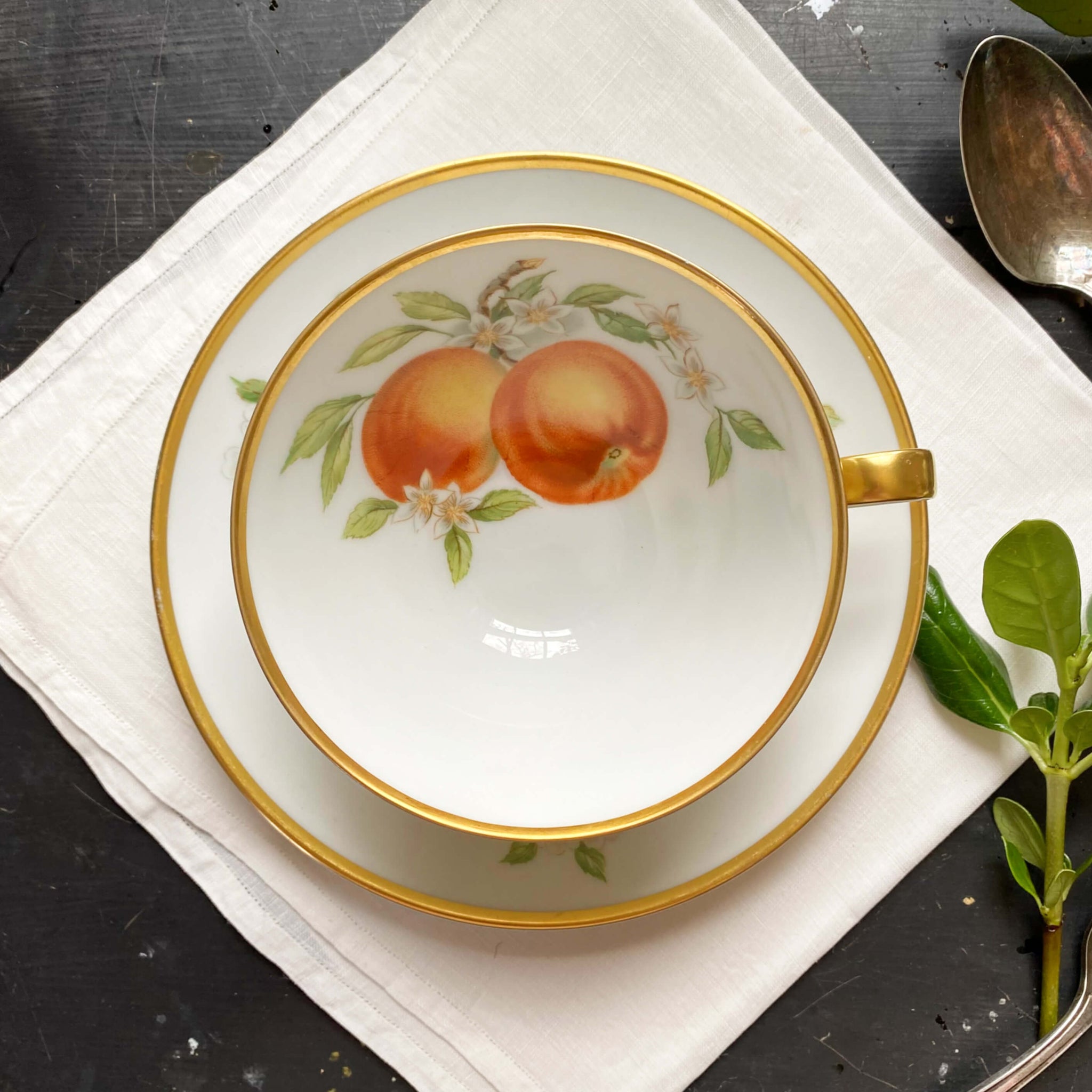 Vintage 1960s Hutschenreuther Fruit Pattern Porcelain Cups and Saucers - Set of Seven