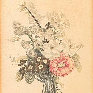 Vintage Framed French Botanical Print by Jean Louis Prevost - 12x 15 Print No. 02
