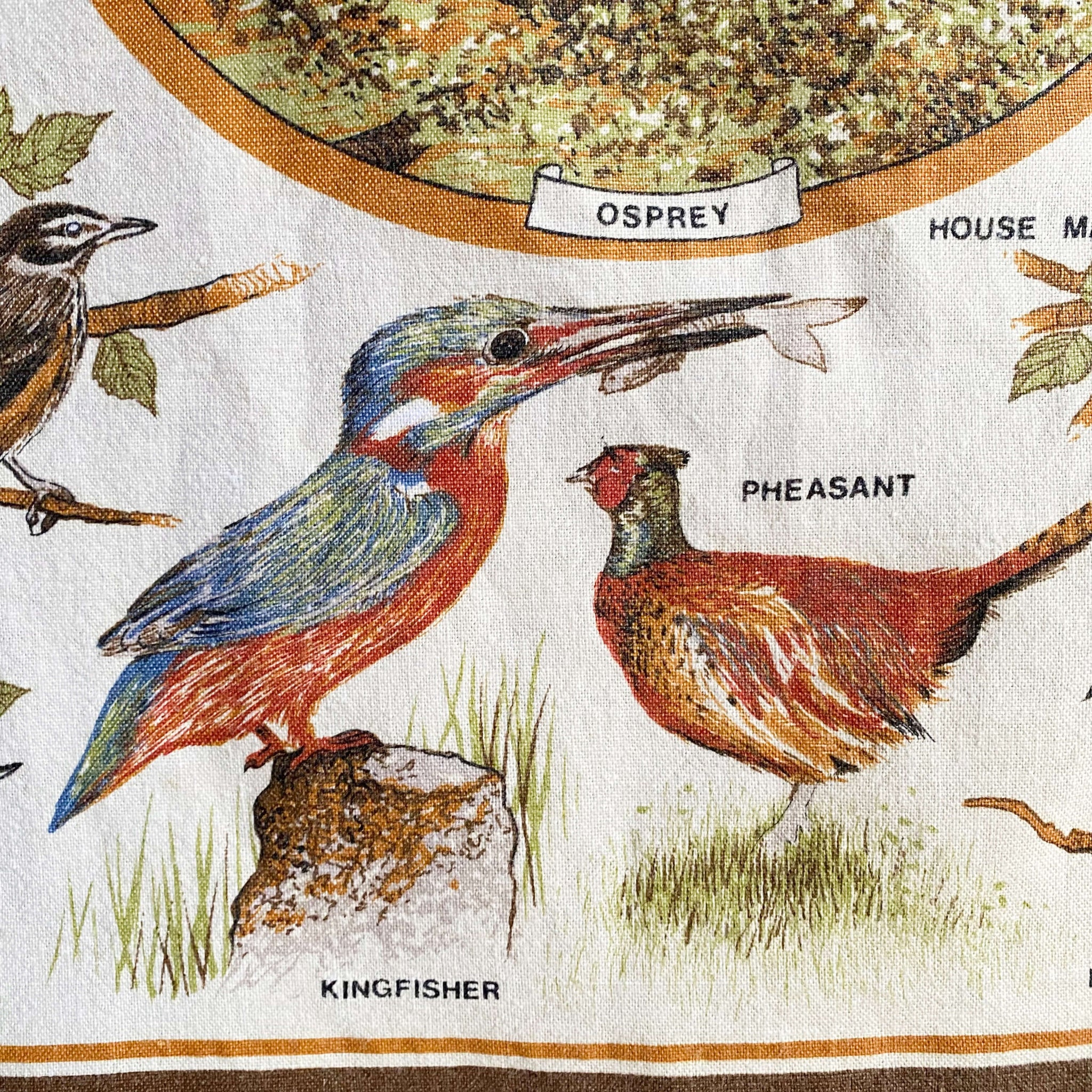 Vintage British Birds Tea Towel by Clive Mayor  - Made in England