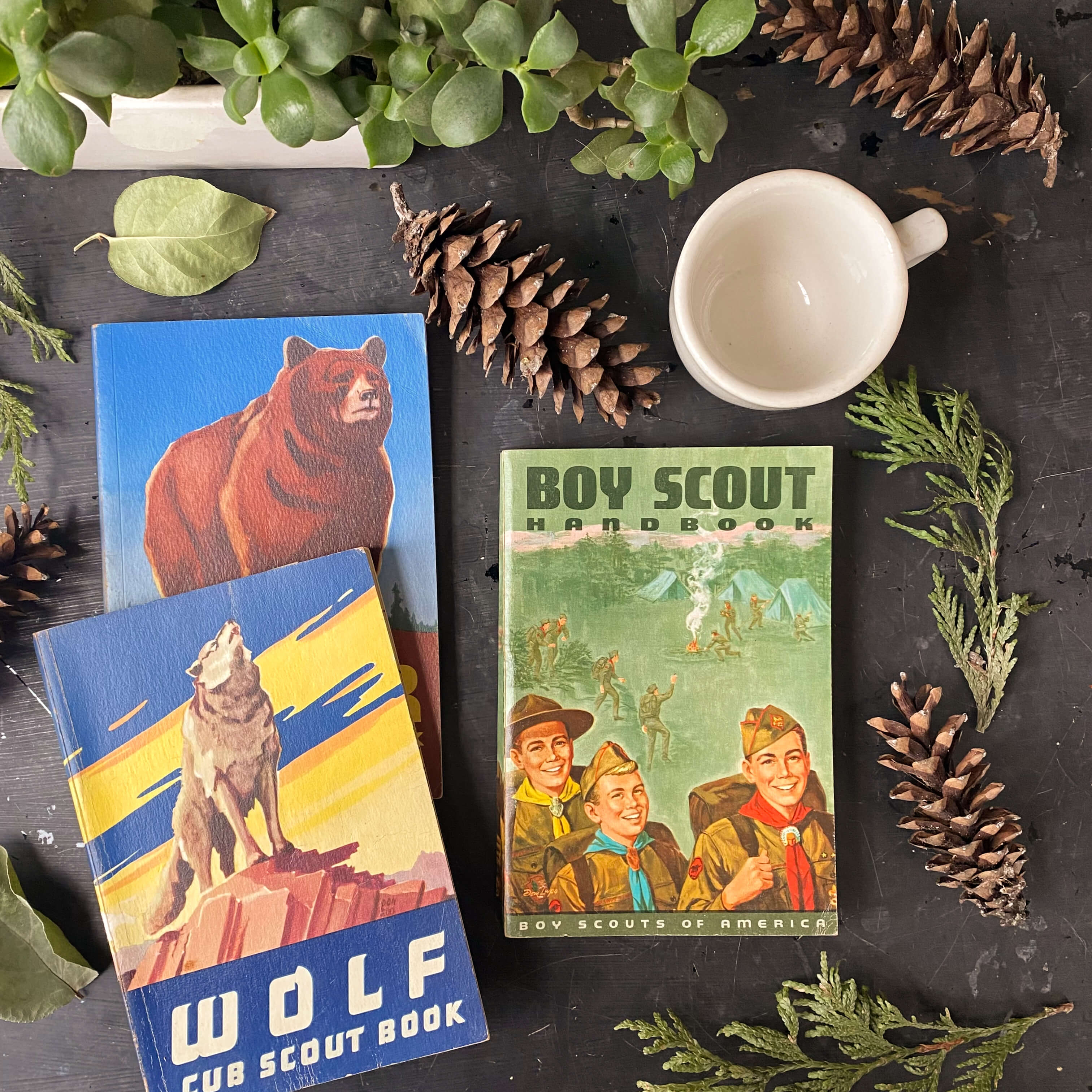 Vintage Camp Goods Collectibles Book 2019 over 400 vintage
