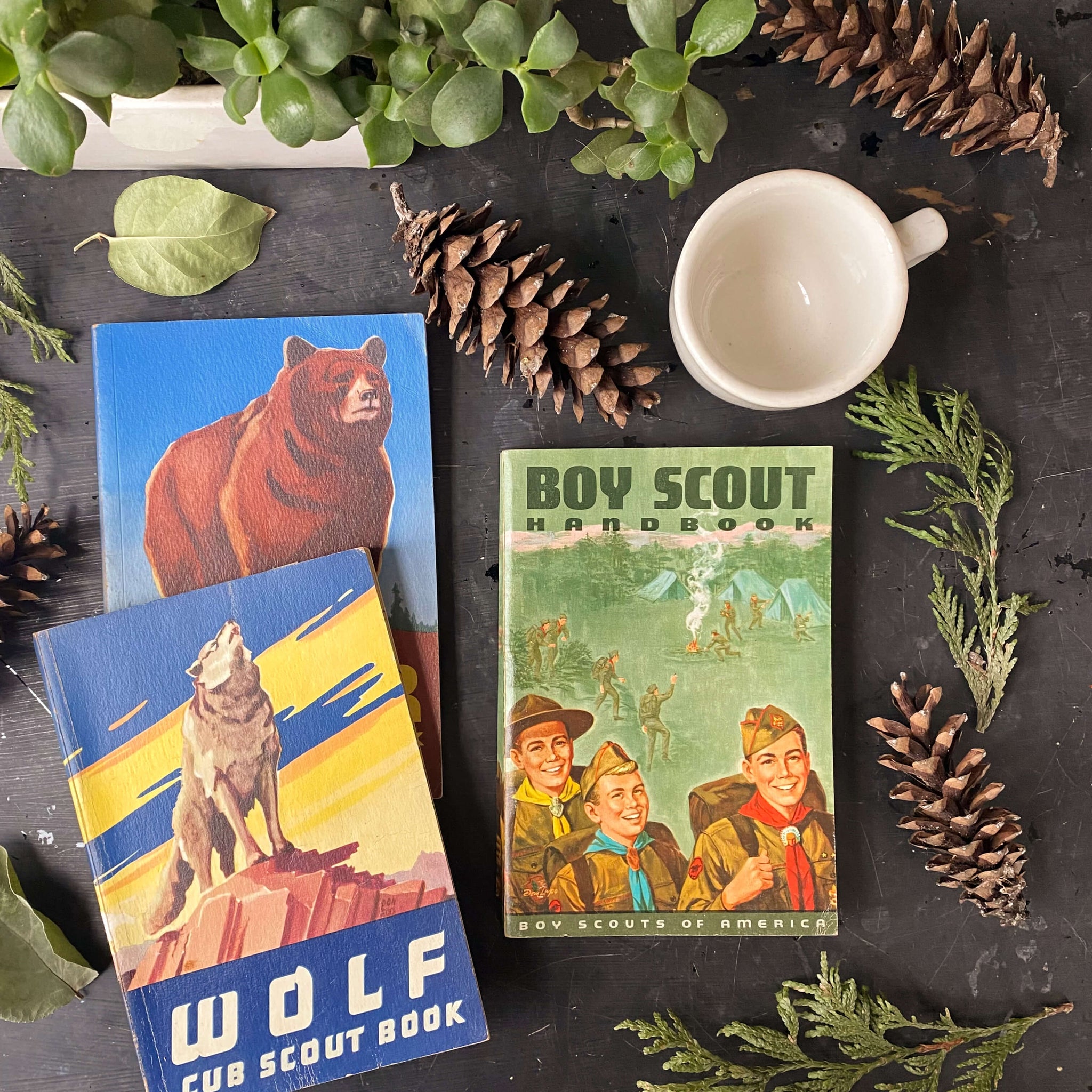 Vintage Midcentury Boy Scout & Cub Scout Book Collection - Set of Thre ...