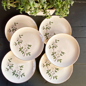 Vintage Midcentury Dogwood Luncheon Plates - Set of 6