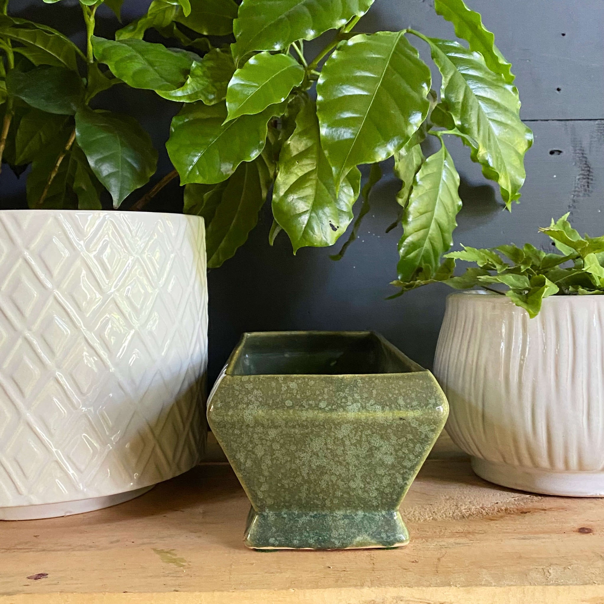 oblong indoor plant pots Vintage Midcentury Green Pottery Planter