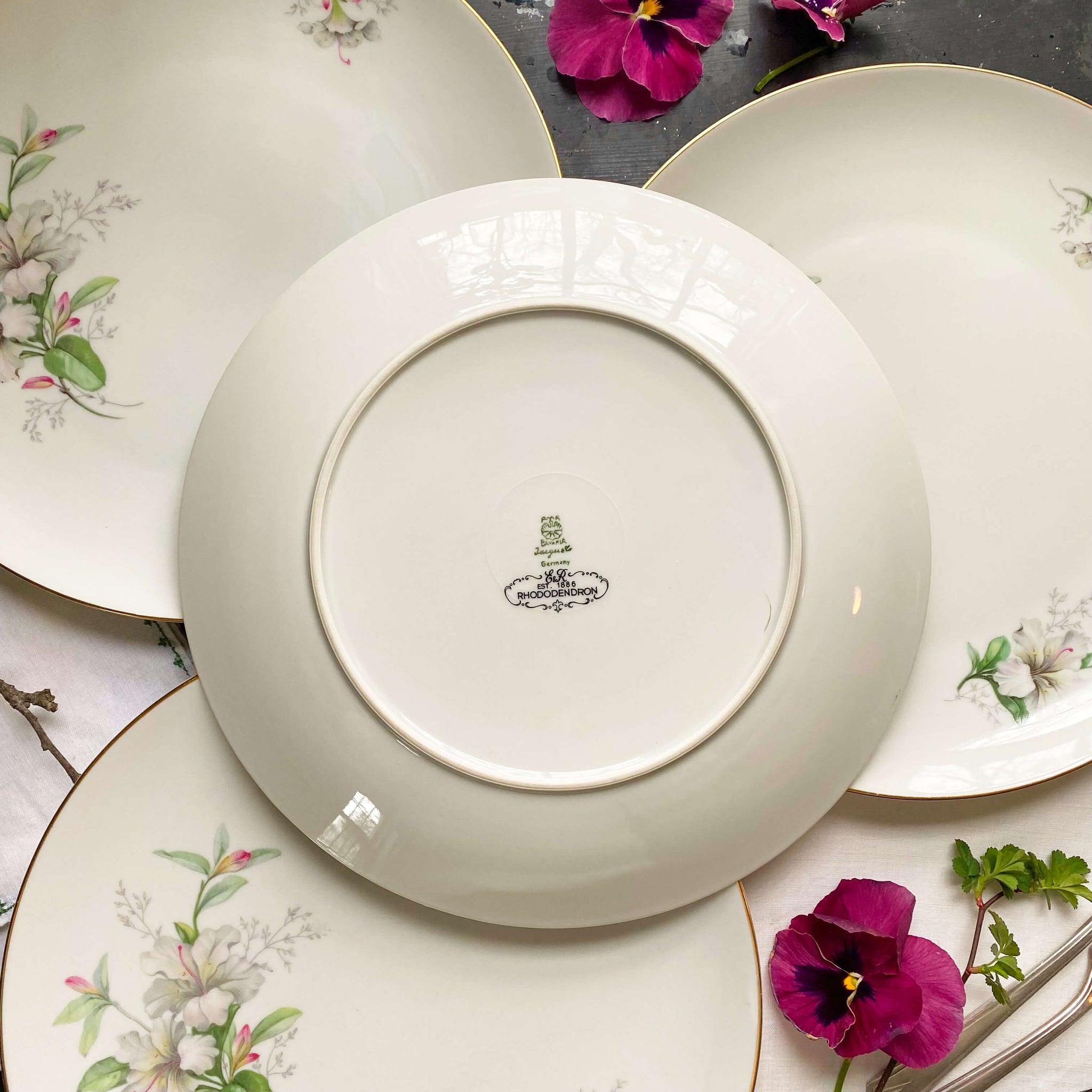 Vintage Porcelain Rhododendron Dinner Plates - Set of Four - Made by Jaeger & Co circa 1949- 1960s