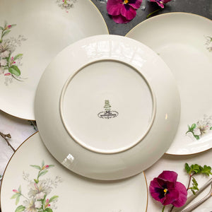 Vintage Porcelain Rhododendron Dinner Plates - Set of Four - Made by Jaeger & Co circa 1949- 1960s