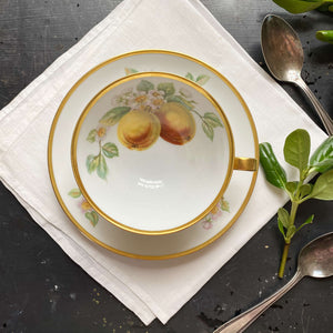 Vintage 1960s Hutschenreuther Fruit Pattern Porcelain Cups and Saucers - Set of Seven