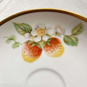 Vintage 1960s Hutschenreuther Fruit Pattern Porcelain Cups and Saucers - Set of Seven