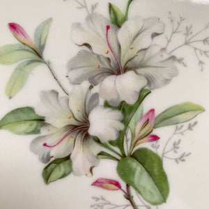 Vintage Porcelain Rhododendron Dinner Plates - Set of Four - Made by Jaeger & Co circa 1949- 1960s