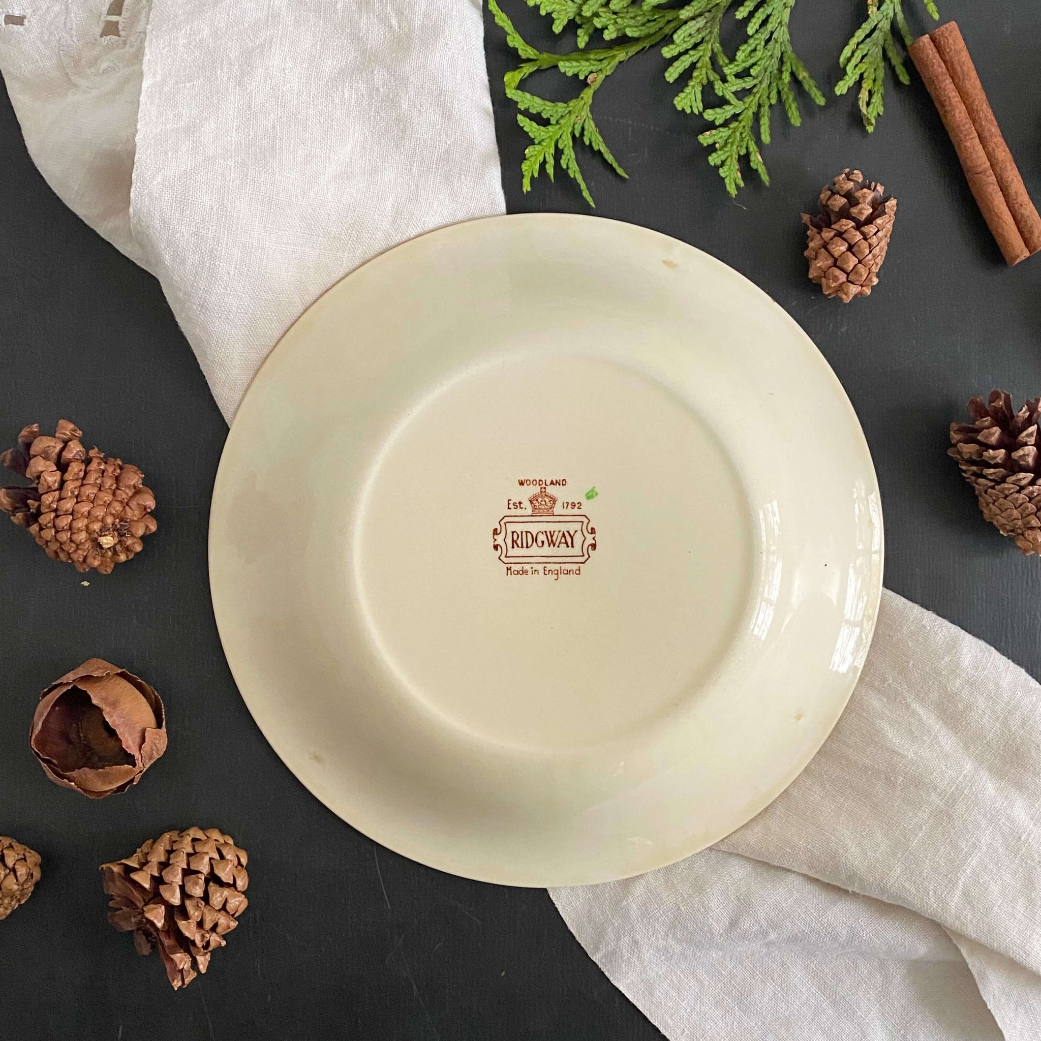 Vintage 1950s Ridgway Woodland Coupe Soup Bowl - Made In England