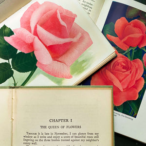 Roses by F.F. Rockwell - The Home Garden Handbooks Series circa 1930