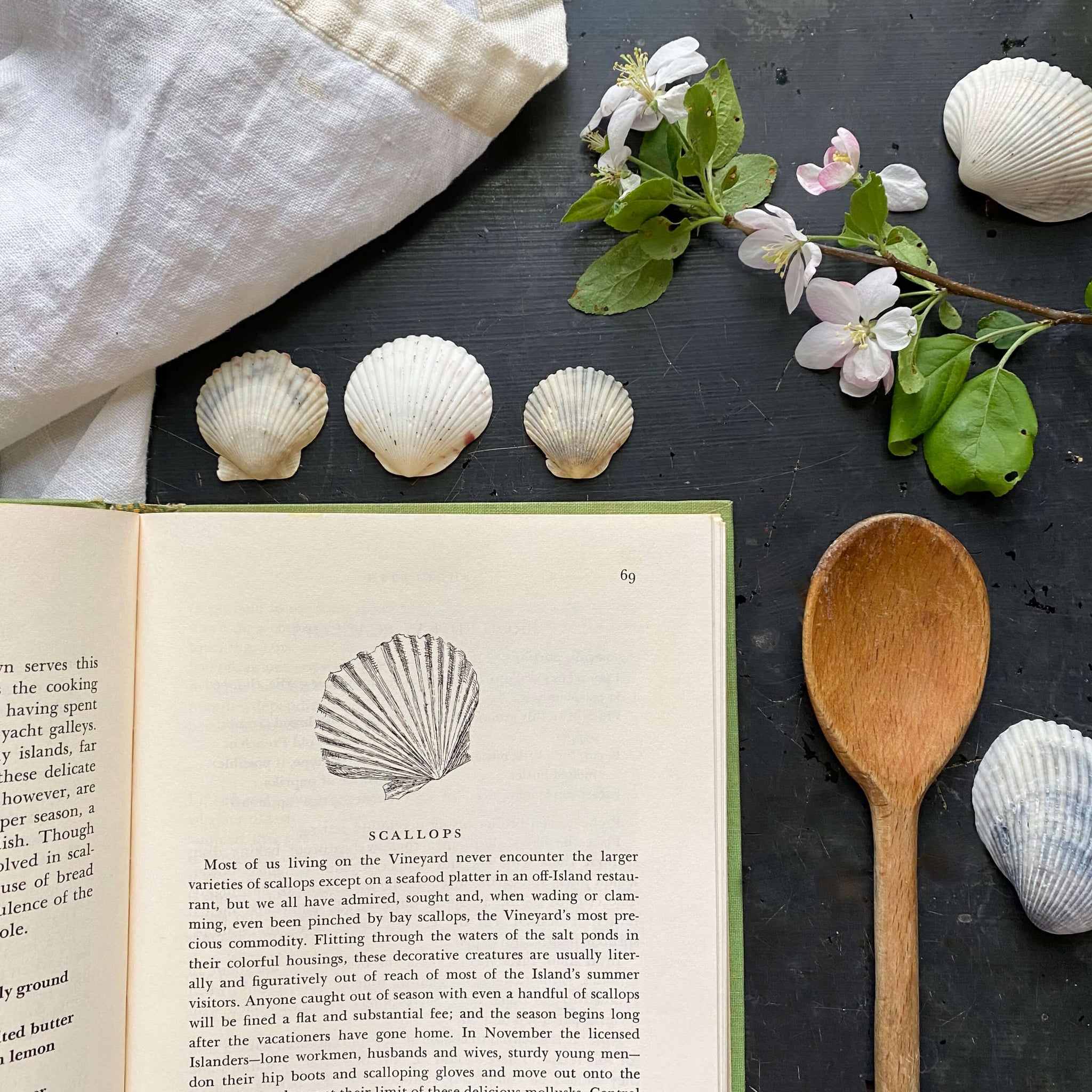 The Martha's Vineyard Cook Book by Louise Tate King and Jean Stewart Wexler - 1971 Edition