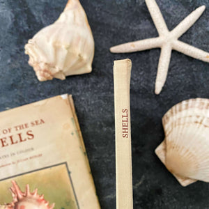 Wonders of the Sea Shells by Paul-Andre Robert & Julian Huxley - 1945 Edition Iris Books