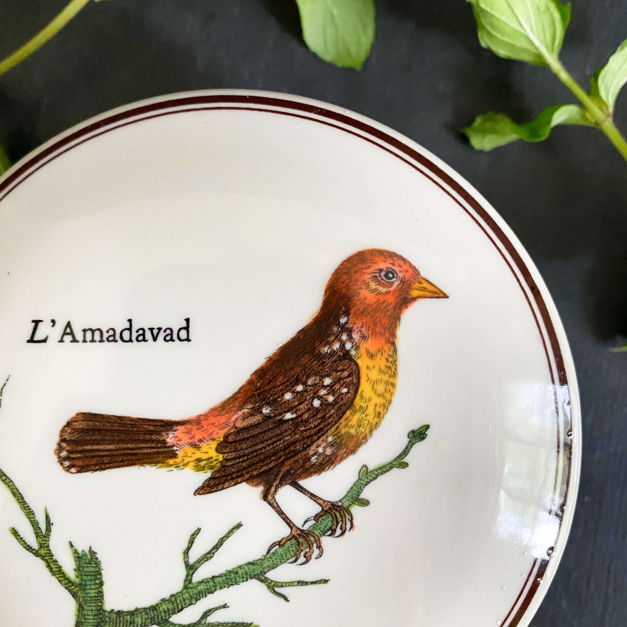 Vintage 1980s Villeroy & Boch Paradiso Covered Candy Dish - L'Amadavad circa 1983-1985