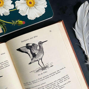 Field Guide to Birds of the West Indies by James Bond - 1947 Edition First Printing
