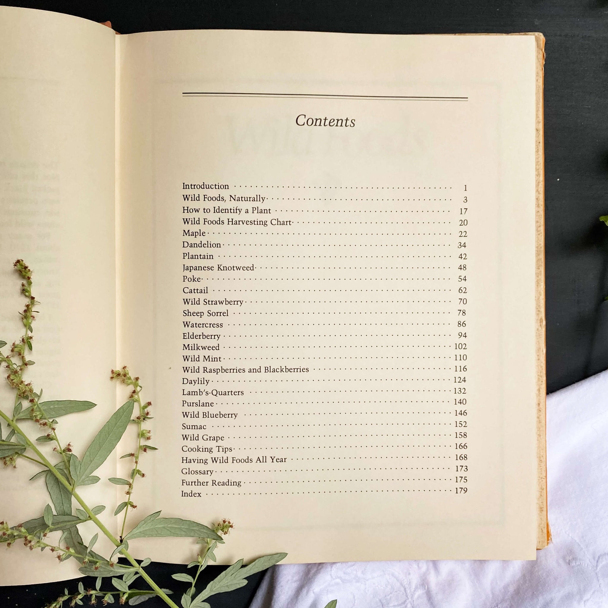 Vintage 1970s Foraging Cookbook - Wild Foods by Laurence Pringle circa 1978