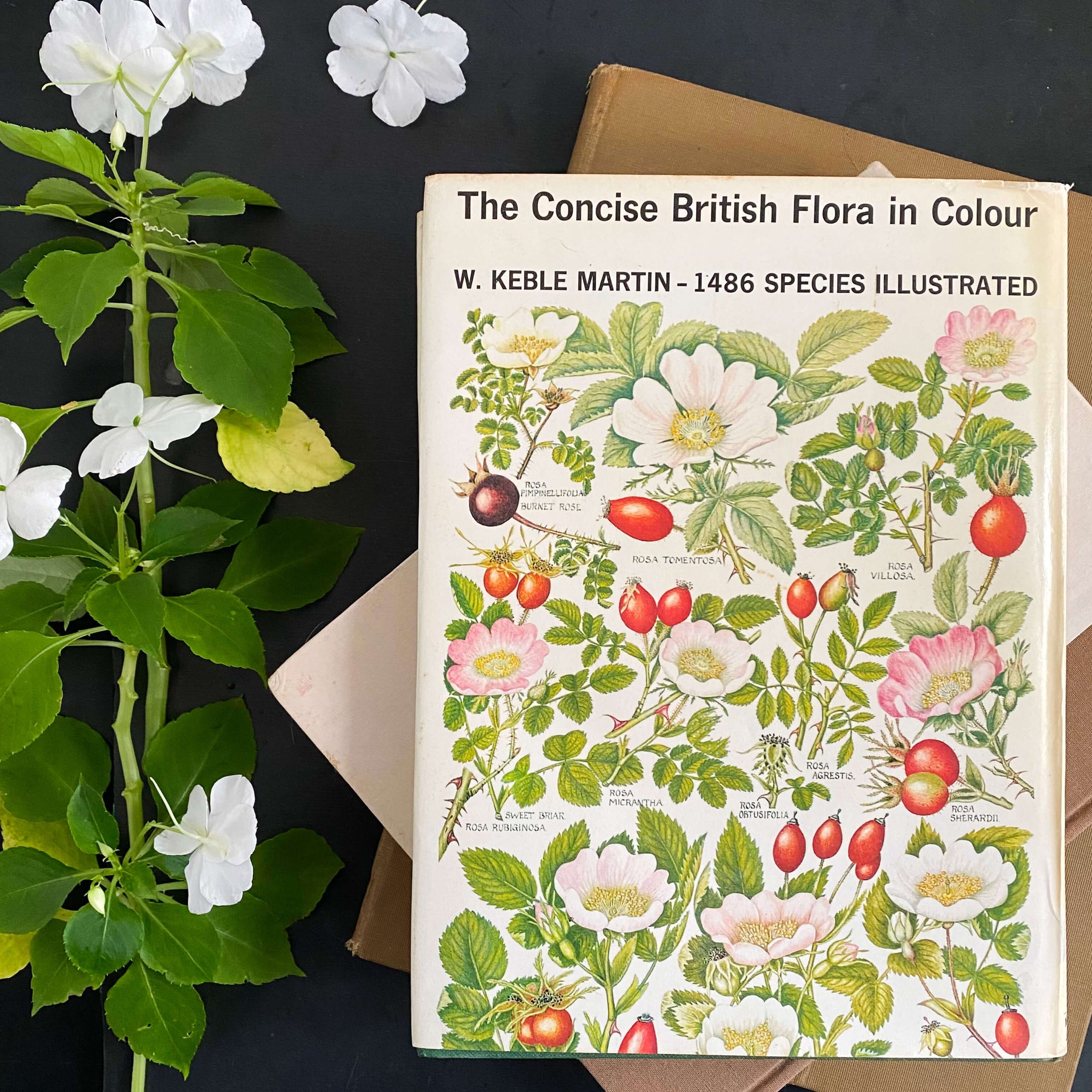 The Concise British Flora in Colour by W. Keble Martin -1965 Edition, 4th Impression