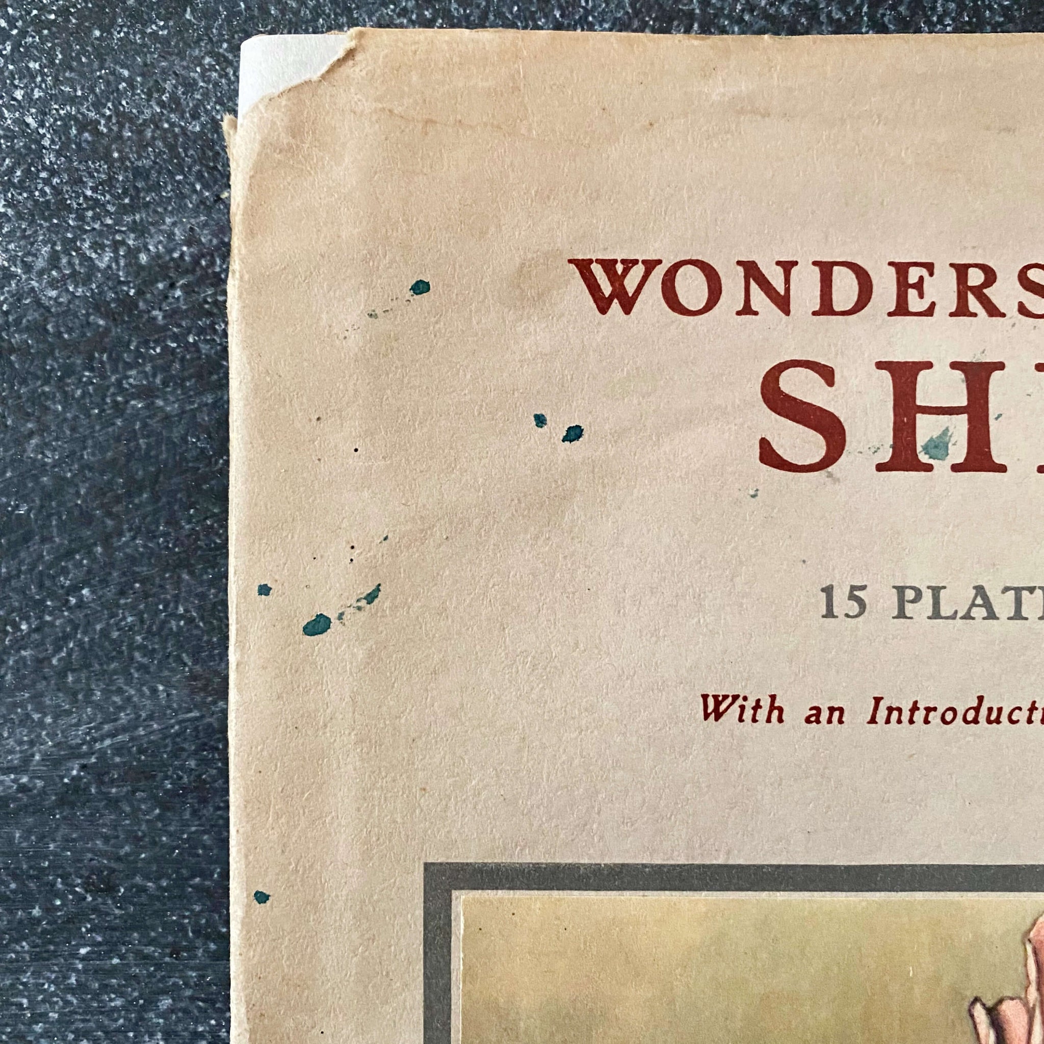 Wonders of the Sea Shells by Paul-Andre Robert & Julian Huxley - 1945 Edition Iris Books