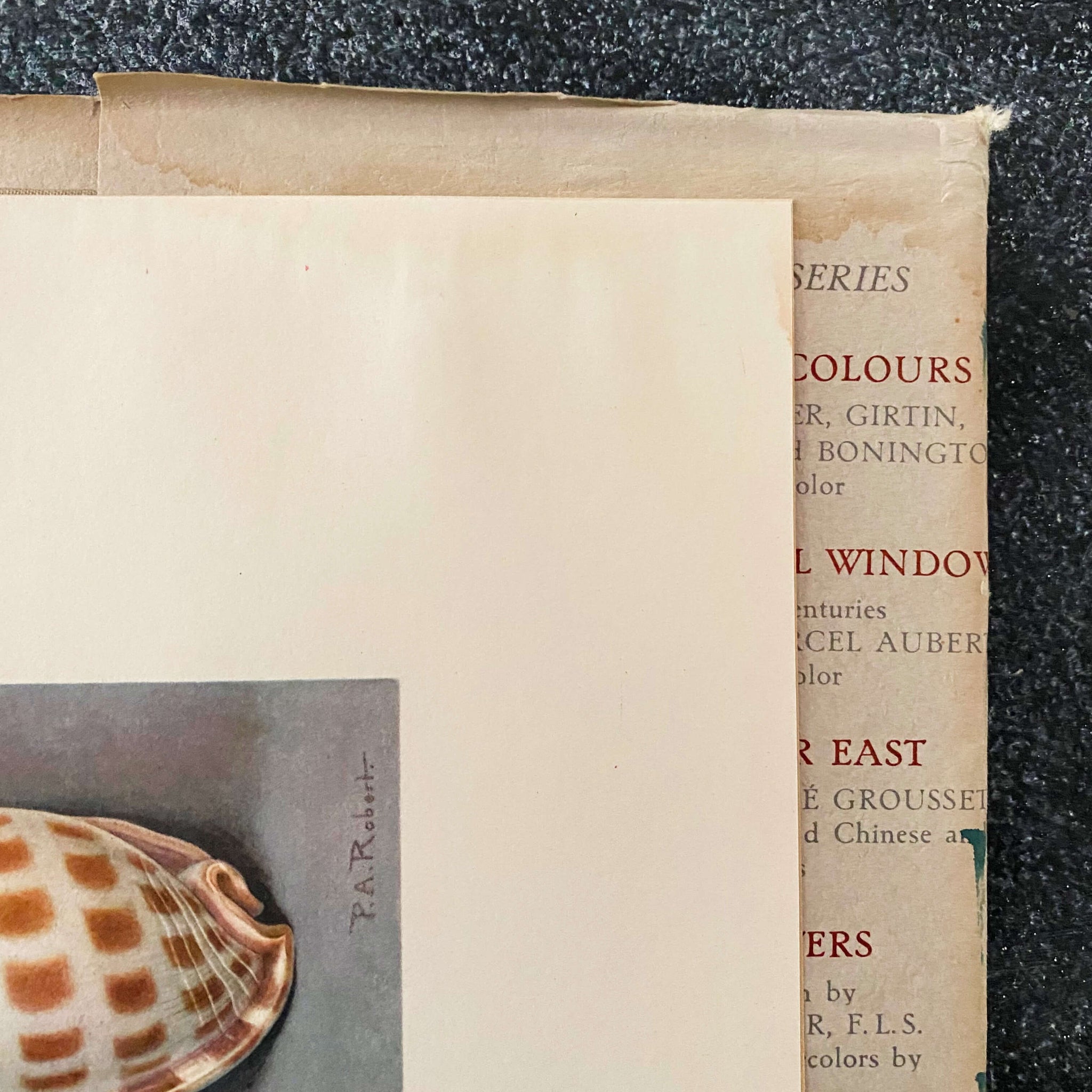 Wonders of the Sea Shells by Paul-Andre Robert & Julian Huxley - 1945 Edition Iris Books