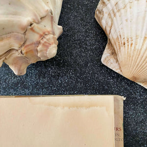 Wonders of the Sea Shells by Paul-Andre Robert & Julian Huxley - 1945 Edition Iris Books