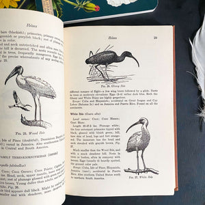Field Guide to Birds of the West Indies by James Bond - 1947 Edition First Printing