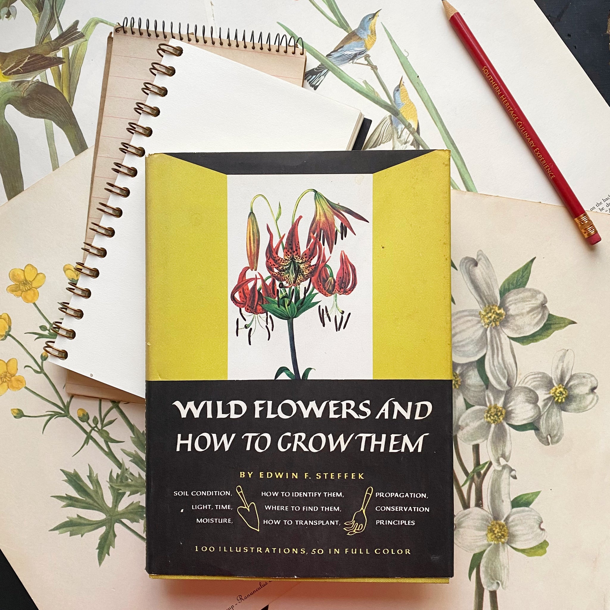 Wild Flowers and How to Grow Them by Edwin Steffek - 1973 Edition Eighth Printing