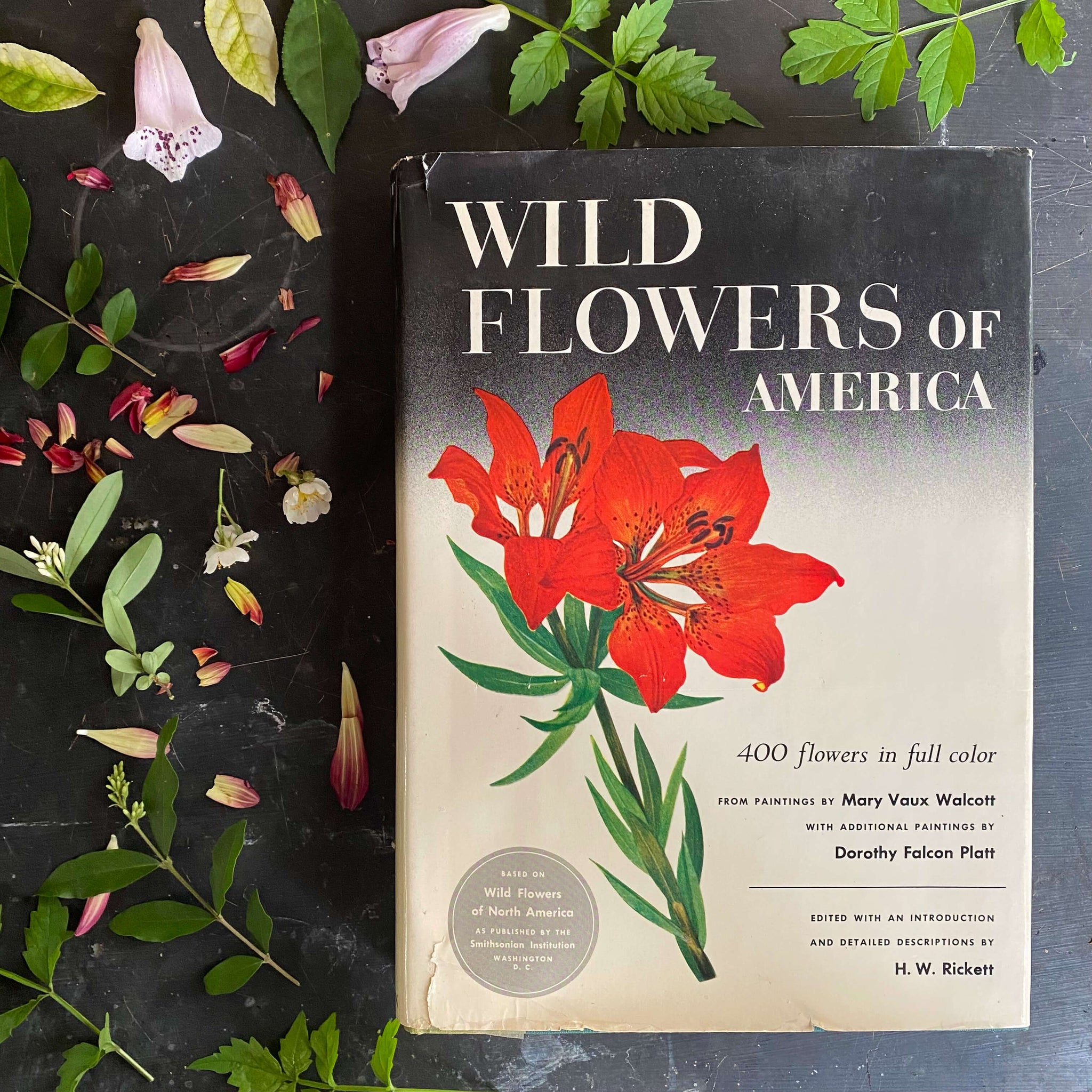 Vintage Oversized Botanical Coffee Table Book - Wild Flowers of America by Mary Vaux Walcott & Dorothy Falcon Platt - 1975 Edition, 12th Printing