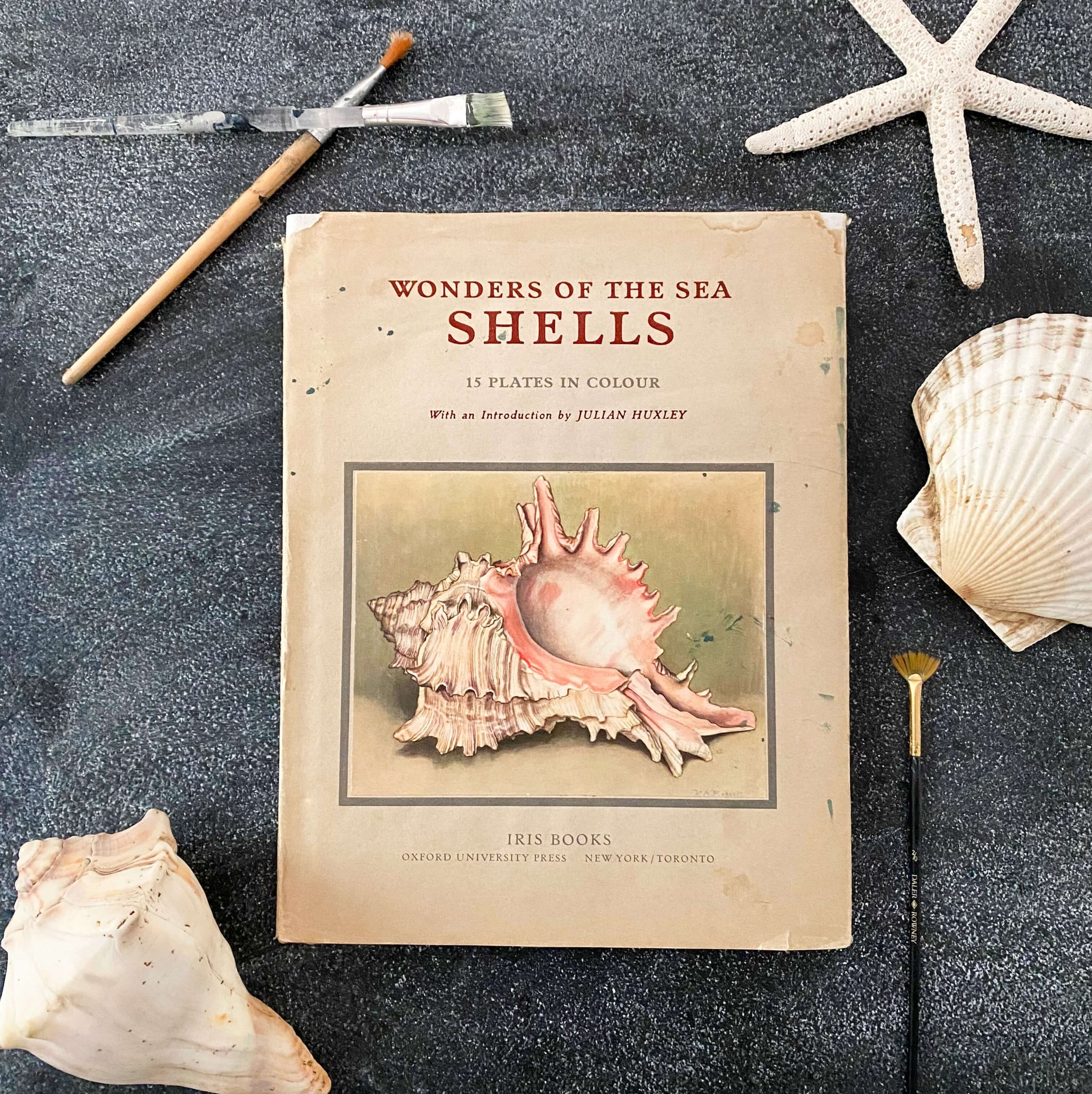 Wonders of the Sea Shells by Paul-Andre Robert & Julian Huxley - 1945 Edition Iris Books
