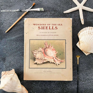 Wonders of the Sea Shells by Paul-Andre Robert & Julian Huxley - 1945 Edition Iris Books