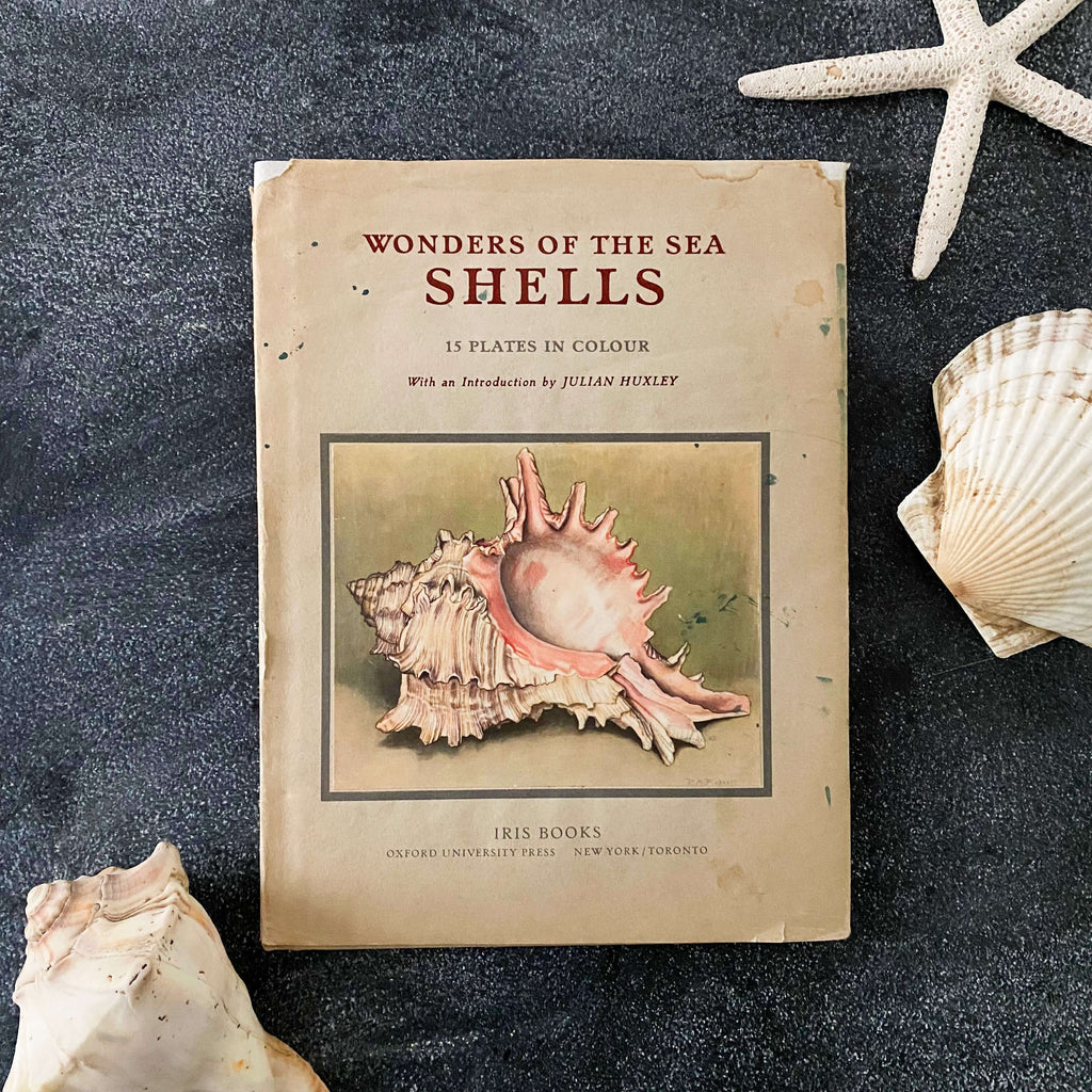 Wonders of the Sea Shells by Paul-Andre Robert & Julian Huxley - 1945 Edition Iris Books