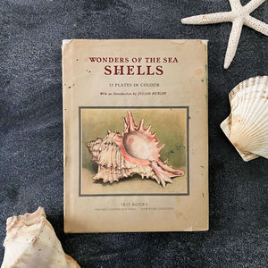Wonders of the Sea Shells by Paul-Andre Robert & Julian Huxley - 1945 Edition Iris Books