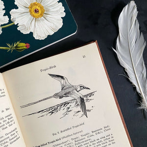 Field Guide to Birds of the West Indies by James Bond - 1947 Edition First Printing