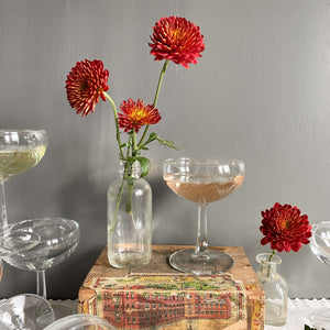 Vintage 1950s French Champagne Coupe Glasses - Set of 12