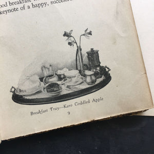 Vintage 1920's Cookbook - The Modern Method of Preparing Delightful Foods - Ida Bailey Allen - 1928 Edition 6th Printing