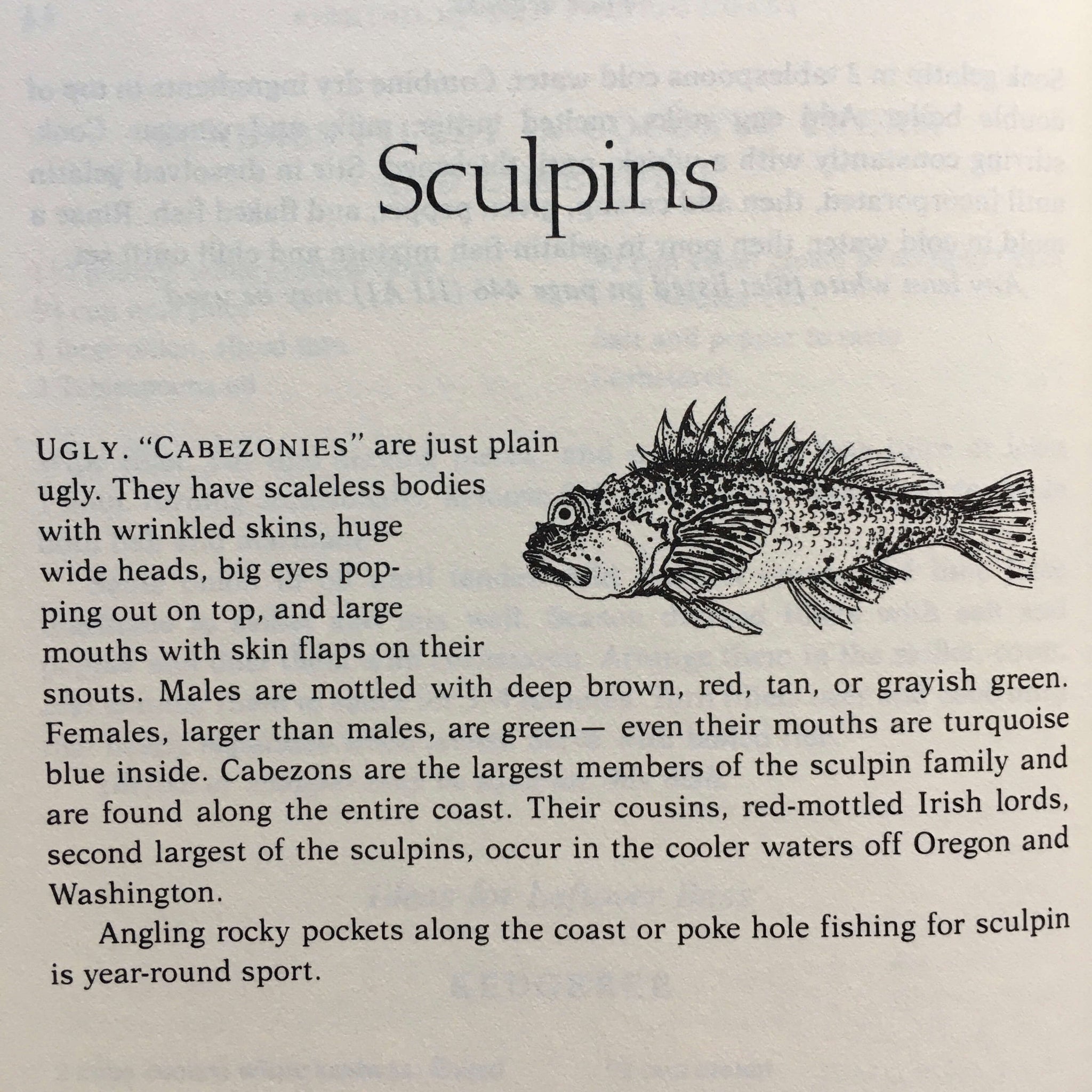 The Complete Book of American Fish and Shellfish Cookery - Elizabeth Bjornskov - Vinatge 1980s Fish Cookbook