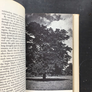 The Best Loved Trees of America - Robert S. Lemmon - 1973 American Garden Guild Book Club Edition