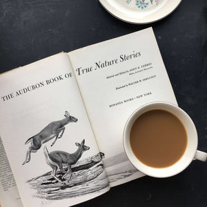 The Audubon Book of True Stories
