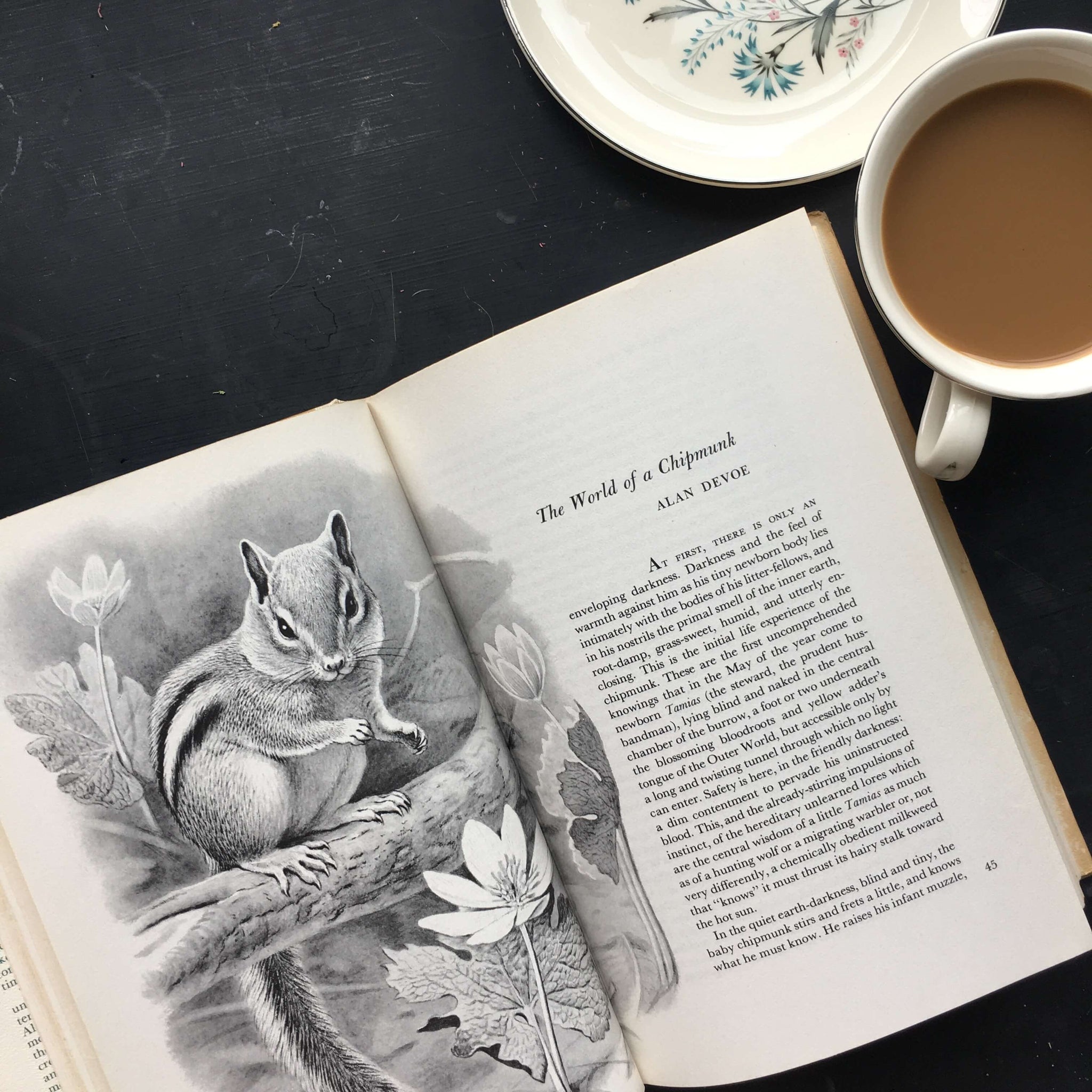 The Audubon Book of True Nature Stories - John K Terres 1958 First Edition Naturalist Writing