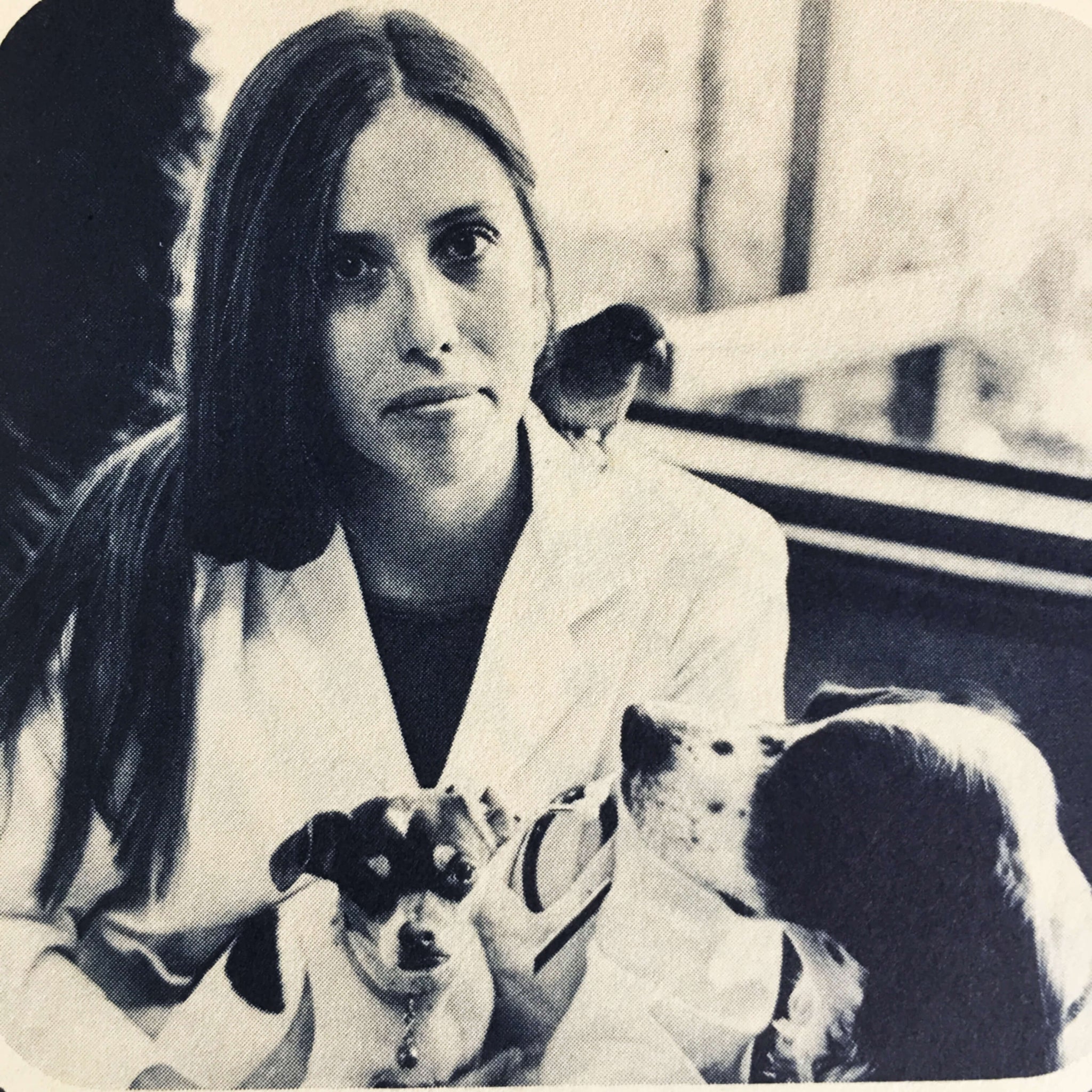 1970's Homemade Dog and Cat Food Cookbook - Dr. Terri McGinnis' Dog & Cat Good Food Book