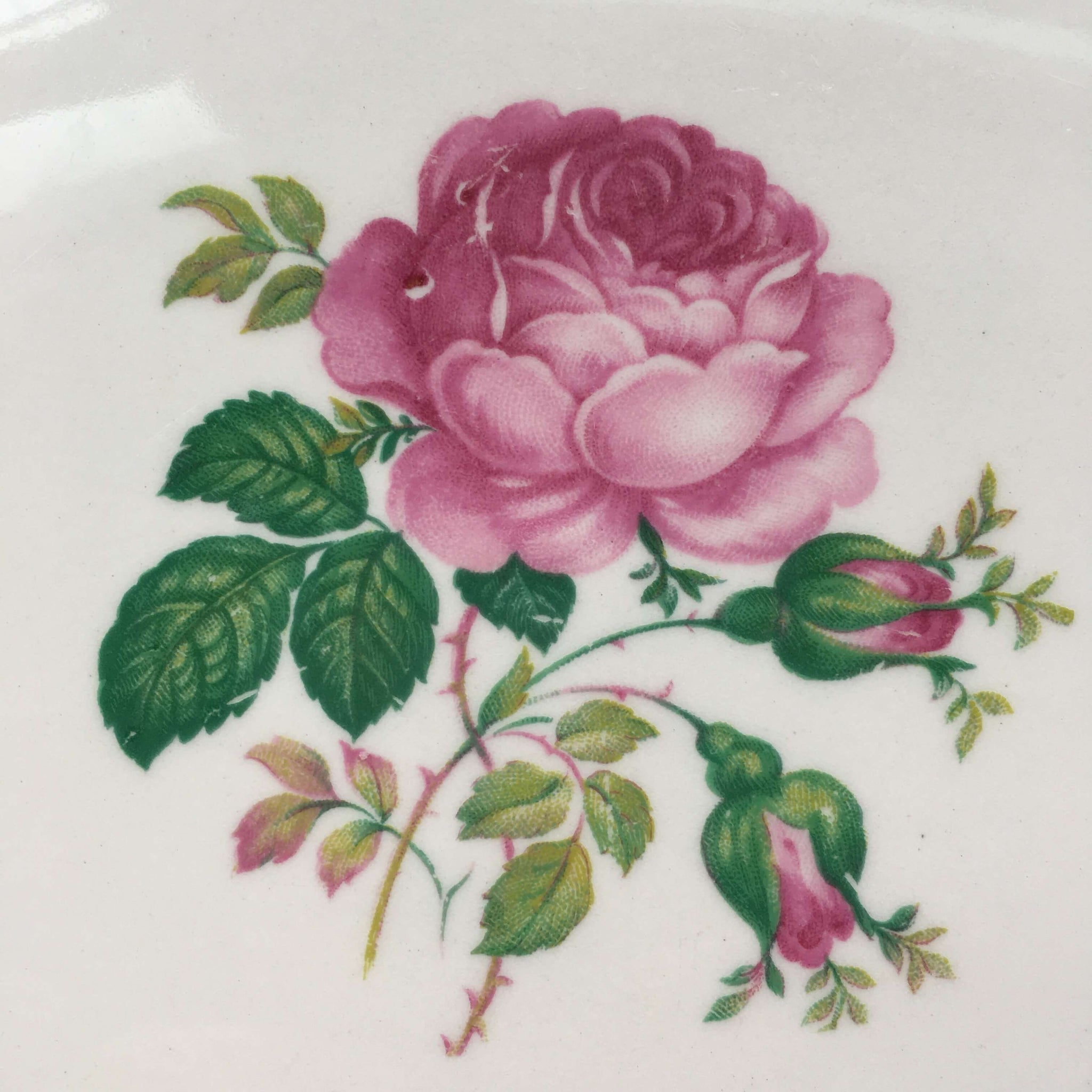 Vintage 1940s June Rose Dinner Plates - Washington Colonial by Vogue - Set of Two - Pink Rose