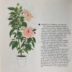 The Woman's Day Book of House Plants - Jean Hersey 1965 Edition