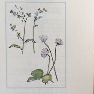 The Woman's Day Book of Wildflowers - Jean Hersey - 1976 Edition - Wildflower Field Guide