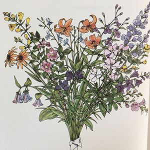The Woman's Day Book of Wildflowers - Jean Hersey - 1976 Edition - Wildflower Field Guide