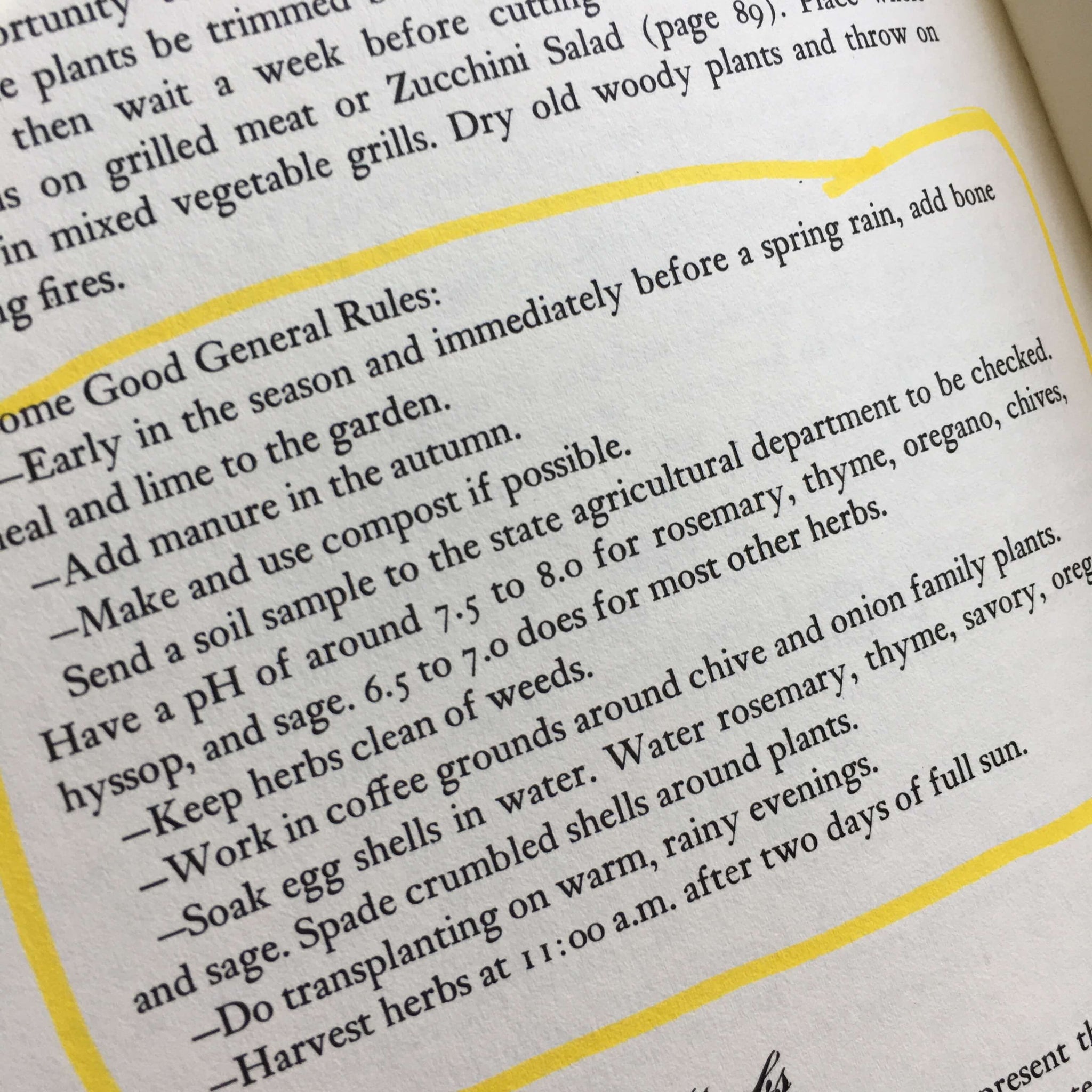 Summer Food by Judith Olney - 1978 First Edition Seasonal Cookbook